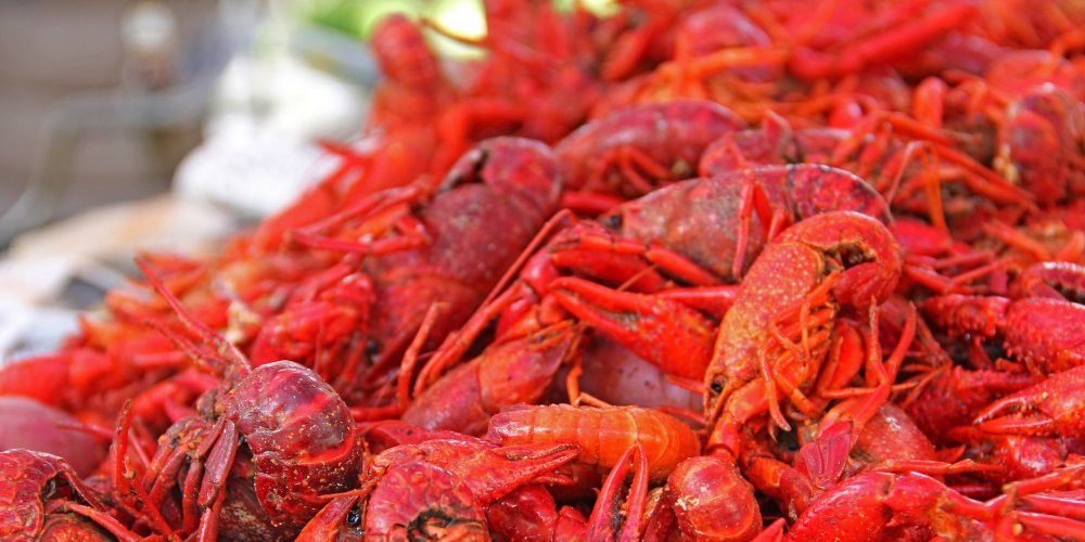 Where to Score the Best Crawfish in New Orleans