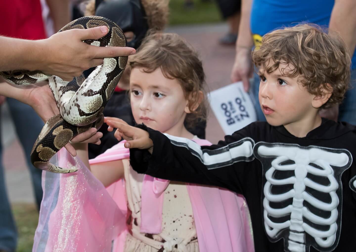 Halloween for Kids in the French Quarter and Beyond